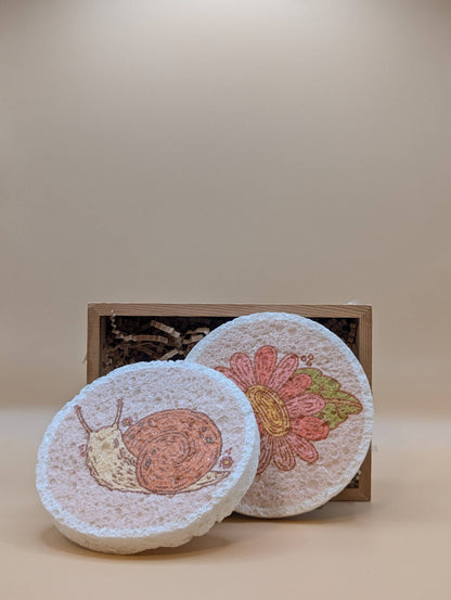 Pop-Up Eco Sponges