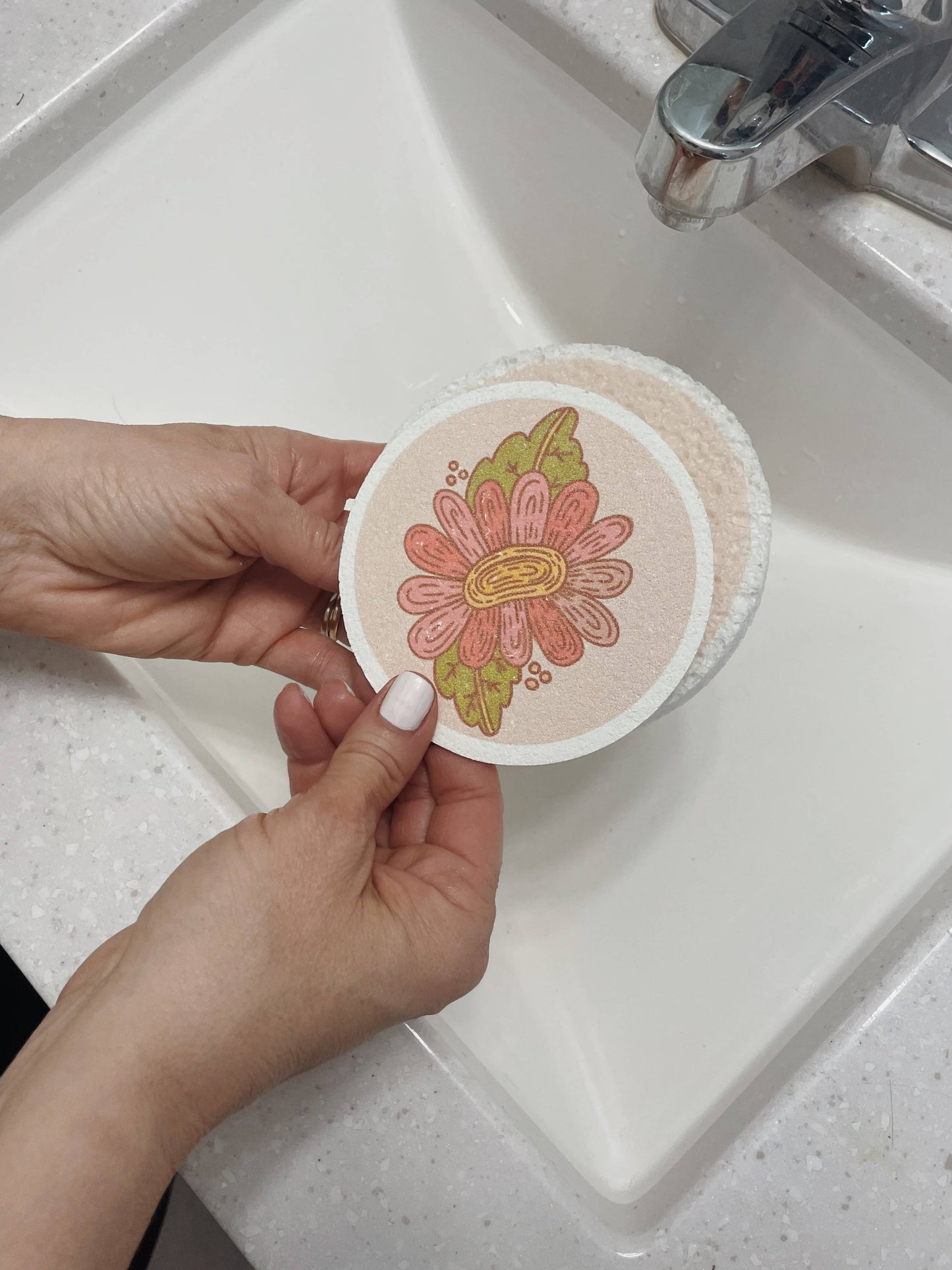 Pop-Up Eco Sponges